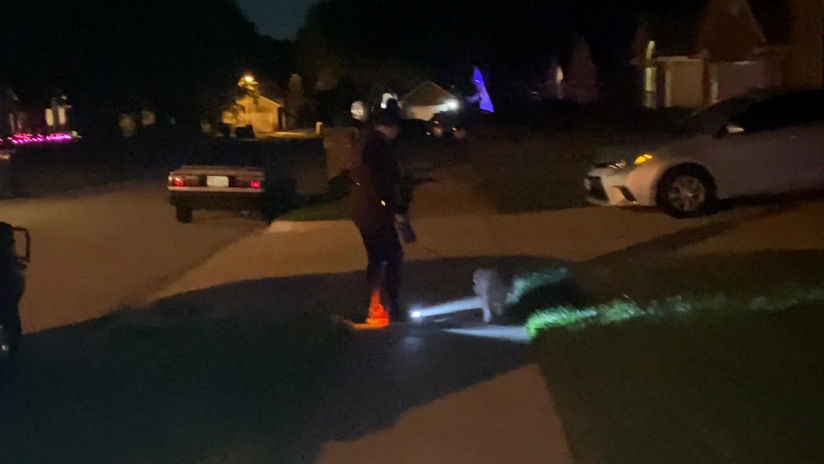 Night Walking